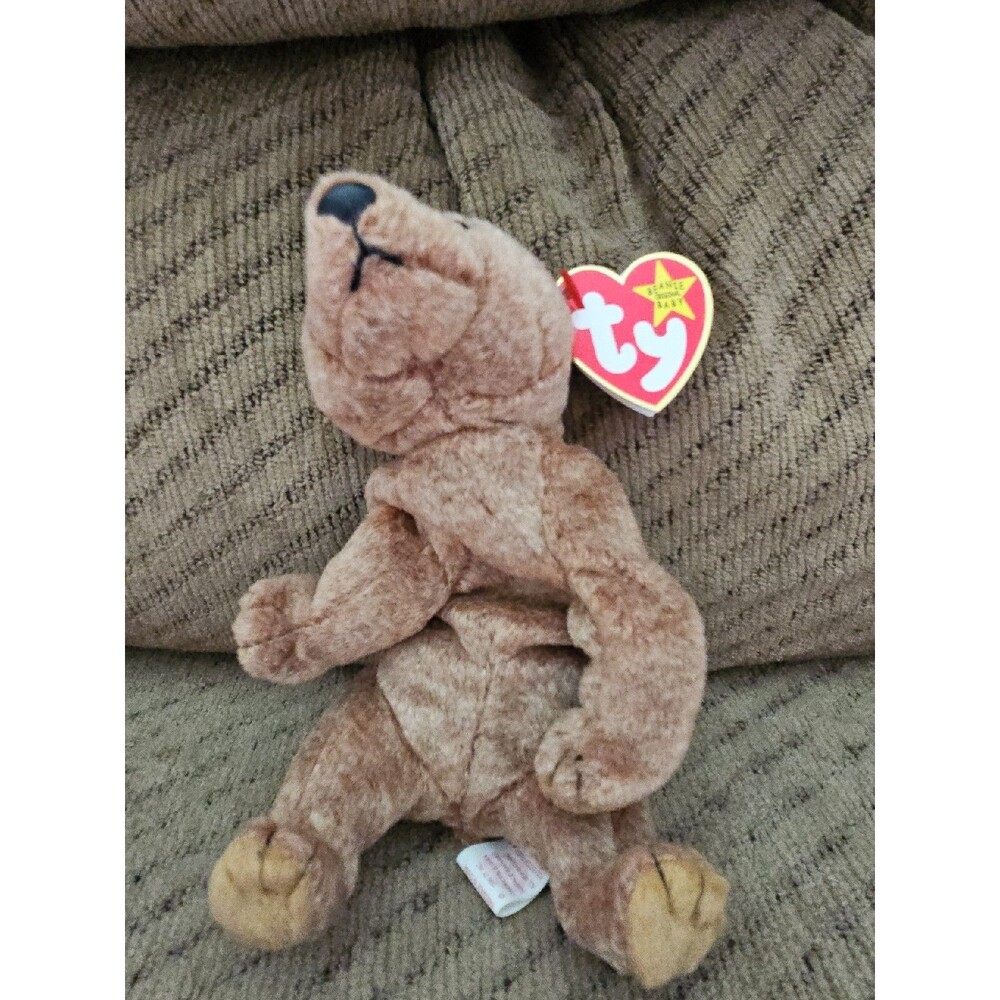 Ty Beanie Baby Pecan The Bear Plush Toy - 4251, Retired, Tags In Place